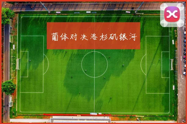 葡体对决洛杉矶银河