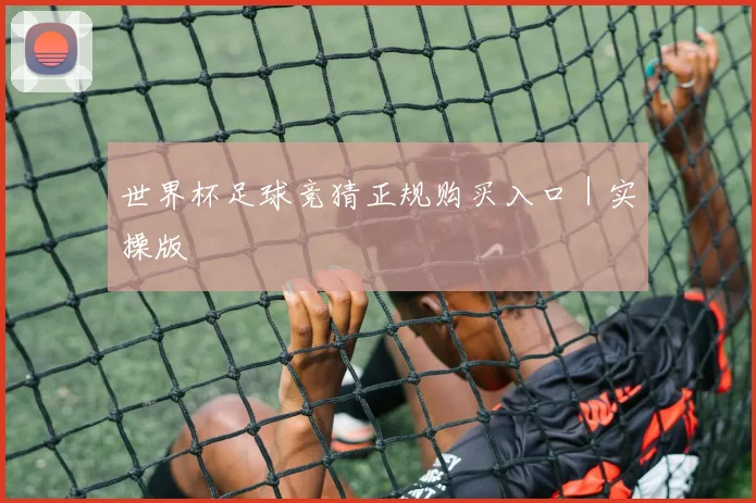 世界杯足球竞猜正规购买入口｜实操版