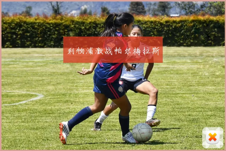 利物浦激战帕尔梅拉斯