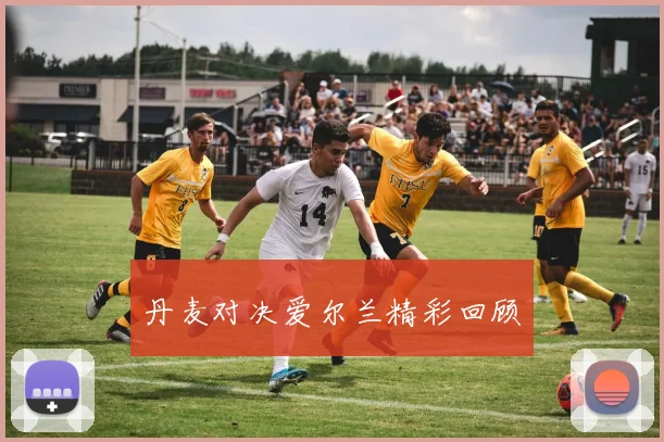 丹麦对决爱尔兰精彩回顾