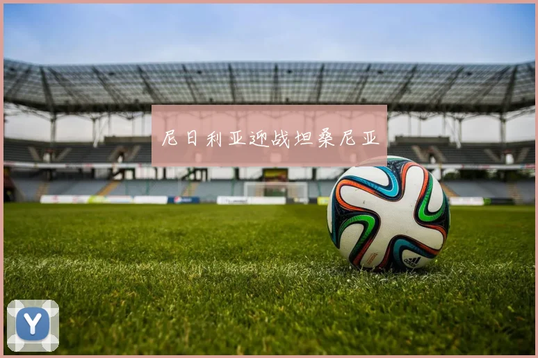 尼日利亚迎战坦桑尼亚
